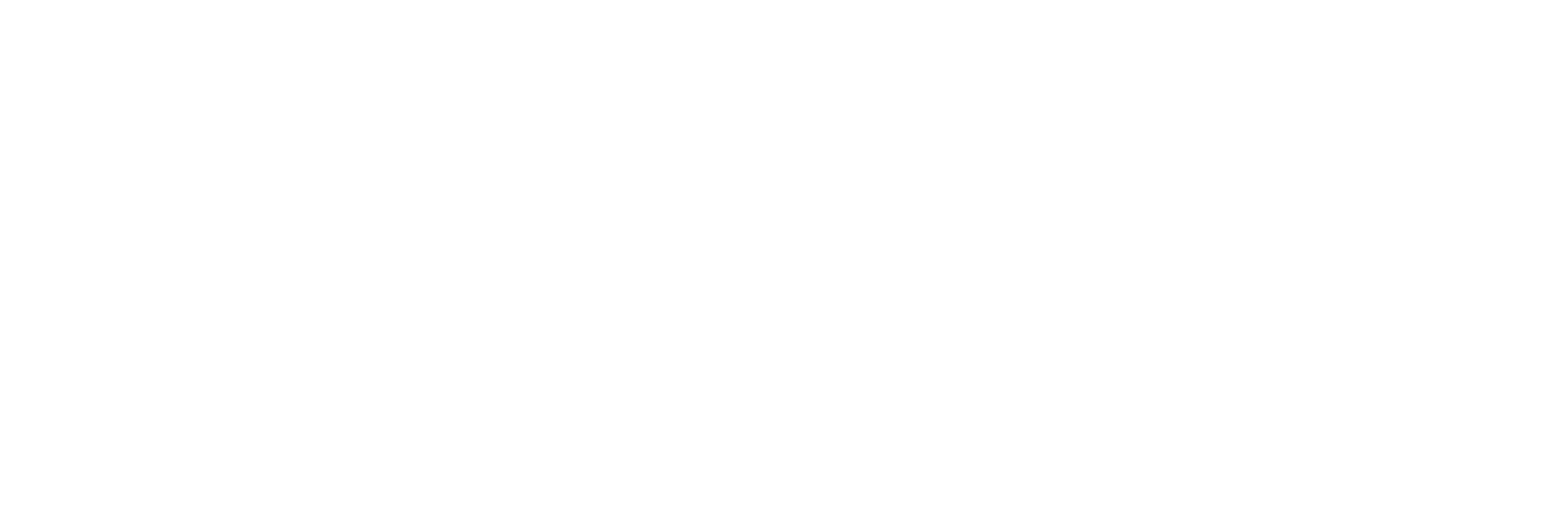 DIPLOVA Institute